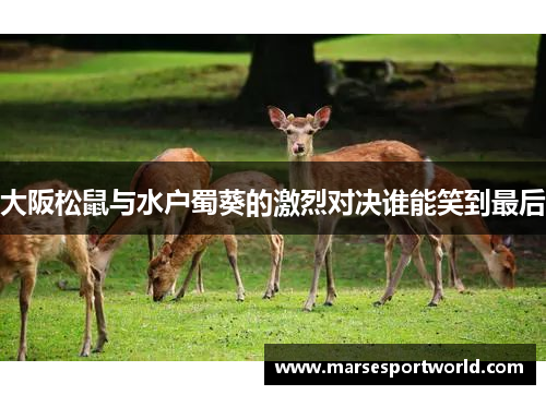 大阪松鼠与水户蜀葵的激烈对决谁能笑到最后