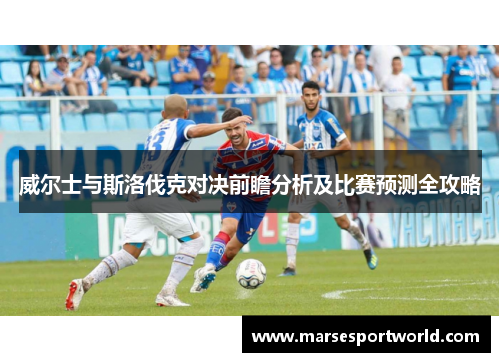 威尔士与斯洛伐克对决前瞻分析及比赛预测全攻略